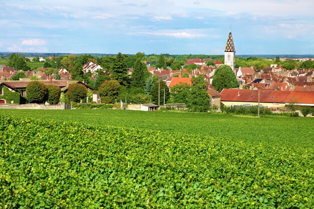 villaggio vino francese