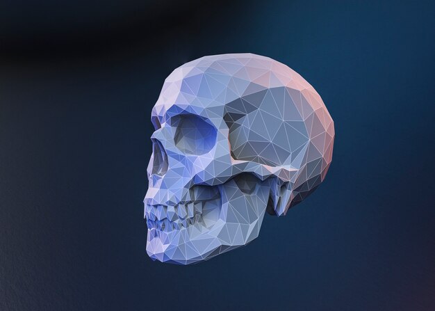 Vista 3D del cranio