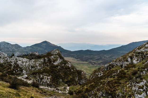 Vista a volo d'uccello delle bellissime montagne rocciose coperte da alberi in una giornata nuvolosa