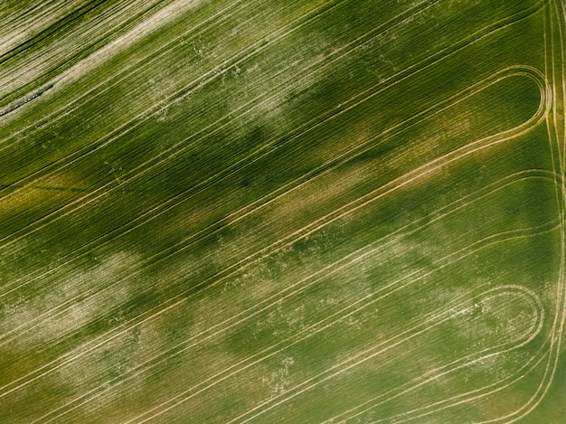 Vista aerea del paesaggio della natura