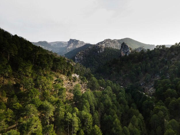 Vista aerea del paesaggio delle montagne