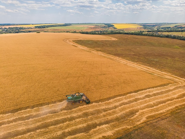 Vista aerea del raccolto estivo Mietitrebbia che raccoglie un grande campo