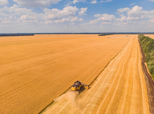 Vista aerea del raccolto estivo Mietitrebbia che raccoglie un grande campo