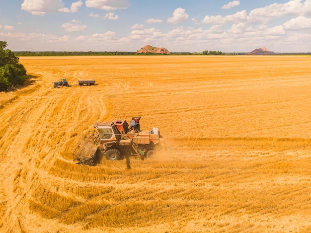 Vista aerea del raccolto estivo Mietitrebbia che raccoglie un grande campo