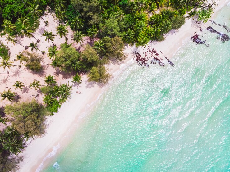 Foto gratuito vista aerea della bellissima spiaggia e del mare con la palma da cocco