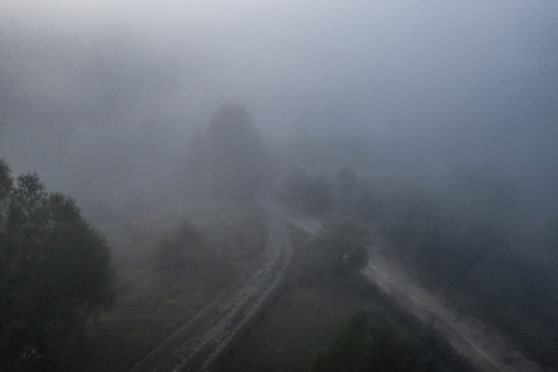 Vista aerea della foresta mista variopinta avvolta nella nebbia di mattina un bello giorno di autunno