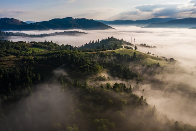 Vista aerea della foresta mista variopinta avvolta nella nebbia di mattina un bello giorno di autunno