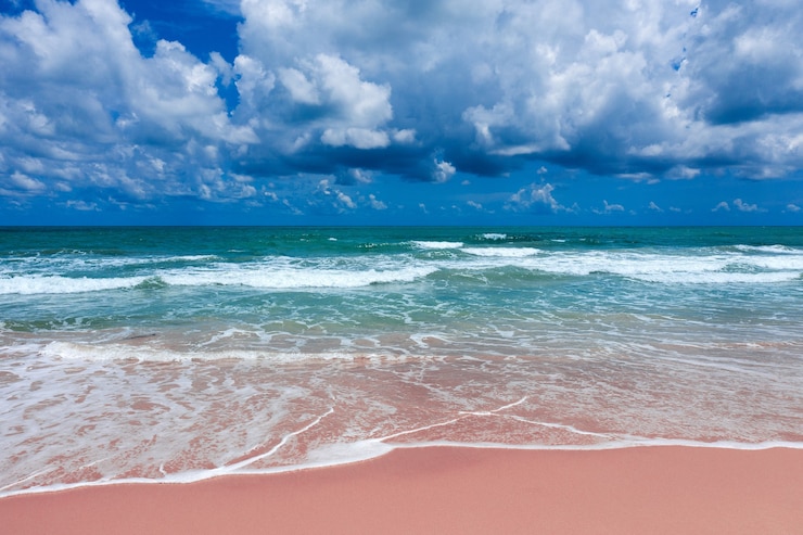Foto gratuito vista aerea della spiaggia rosa e dell'onda blu dell'oceano.