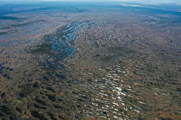 Vista aerea della zona del lago con vegetazione