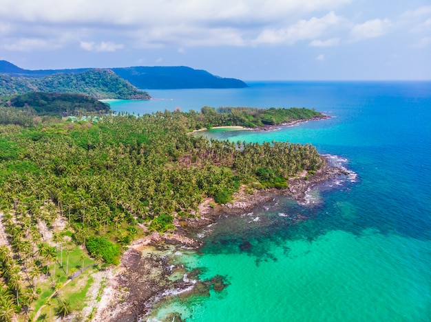 Vista aerea di bella spiaggia e mare con palme da cocco