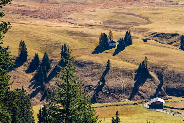Foto gratuito vista aerea di edifici su una collina erbosa vicino a verdi alberi in dolomia italia