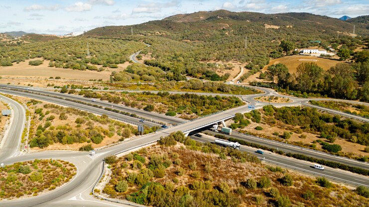 Foto gratuito vista aerea di strade immerse nella natura