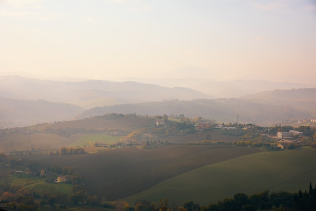 Vista aerea di un enorme campo di alberi, erba e montagne