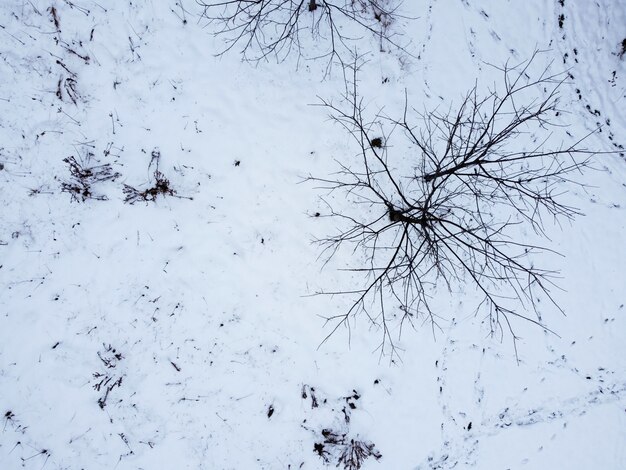 Vista aerea di una superficie innevata