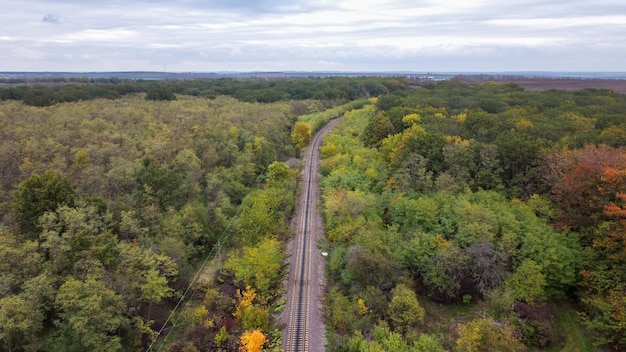 Vista aerea drone della natura in Moldova, una ferrovia che passa attraverso una fitta foresta, cielo nuvoloso