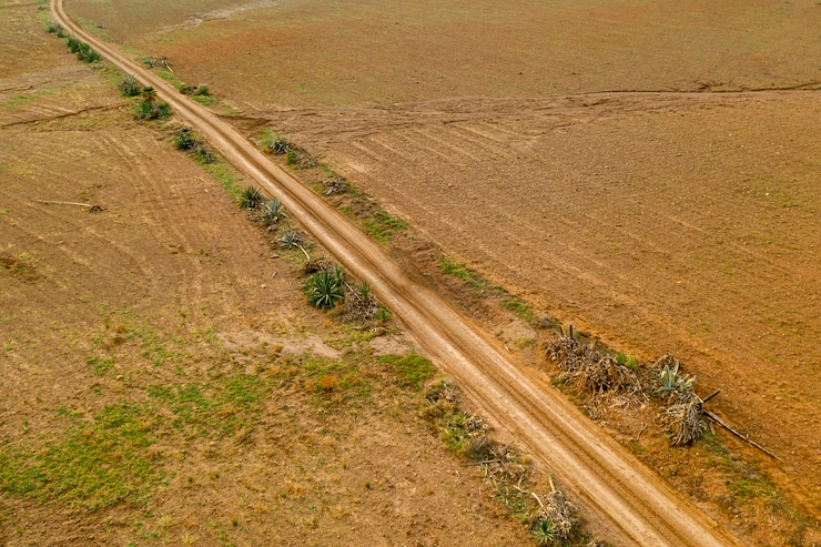 Foto gratuito vista aerea panoramica del paesaggio di una strada in pianura