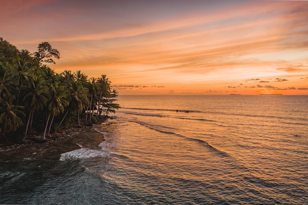 Vista affascinante dell'oceano calmo e degli alberi sulla riva durante il tramonto in Indonesia