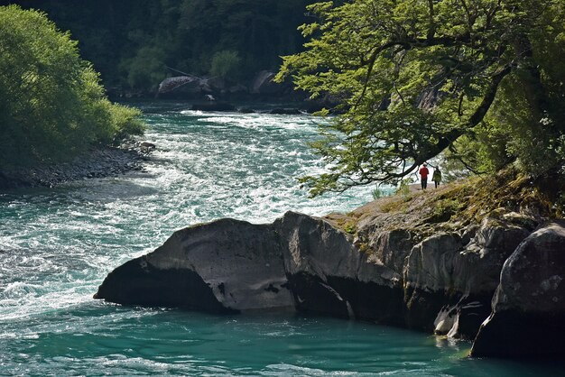 Vista affascinante della coppia vicino al fiume circondata da alberi