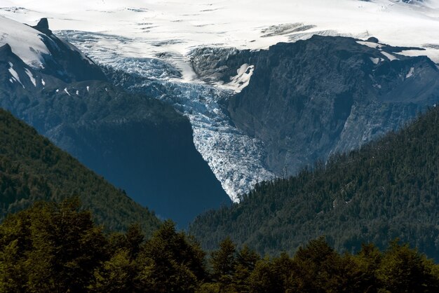 Vista affascinante delle montagne coperte di alberi e neve, perfetta per lo sfondo