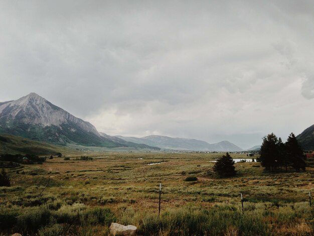 Vista affascinante delle montagne e degli alberi nel campo in una giornata nuvolosa