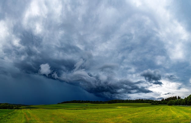 Vista affascinante di campi verdi freschi sotto un cielo nuvoloso