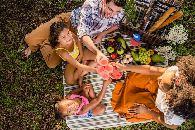 Vista da picnic in famiglia