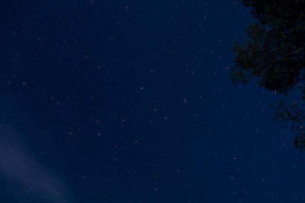 Vista dal basso cielo stellato