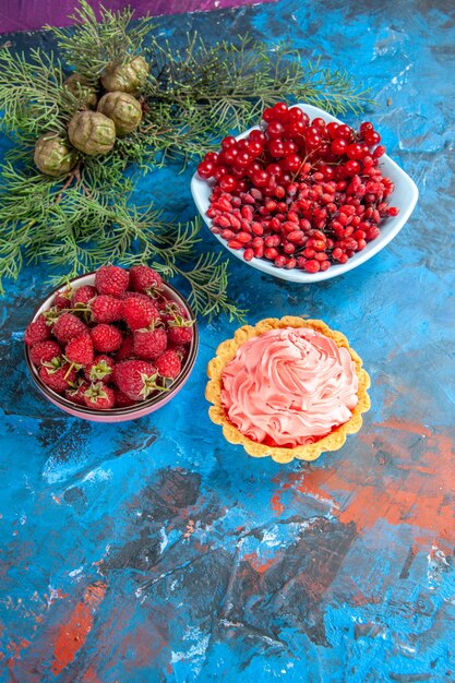 Vista dal basso lamponi freschi ribes e crespini in ciotole ramo di pino piccola crostata sul tavolo blu