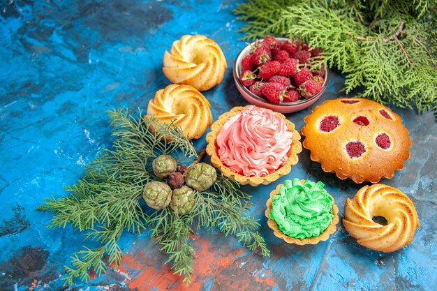 Vista dal basso torta di lamponi piccola crostata di biscotti ciotola con rami di albero di lamponi sul tavolo blu