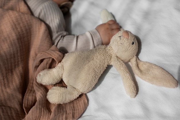 Vista dall'alto bambino carino con animale di peluche