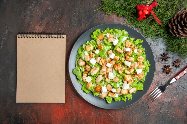 Vista dall'alto Caesar Salad su piastra ovale forchetta anice notebook su sfondo rosso scuro