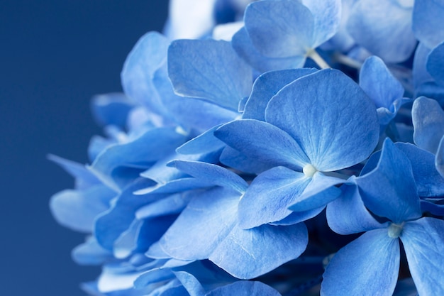 Vista dall'alto composizione nel concetto di lunedì blu con il primo piano dei fiori