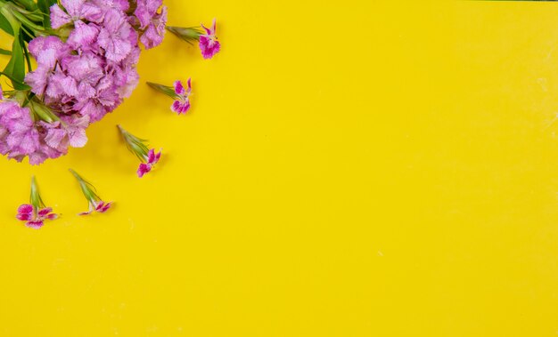 Vista dall'alto copia spazio fiori rosa su uno sfondo giallo