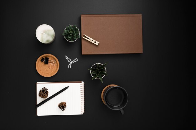 Vista dall'alto del desktop con agenda e piante grasse