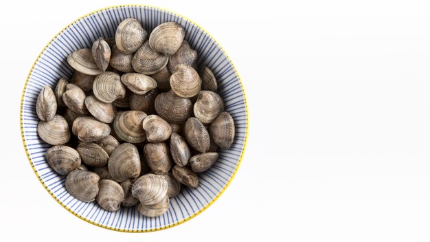 Vista dall'alto del piatto con vongole e copia spazio