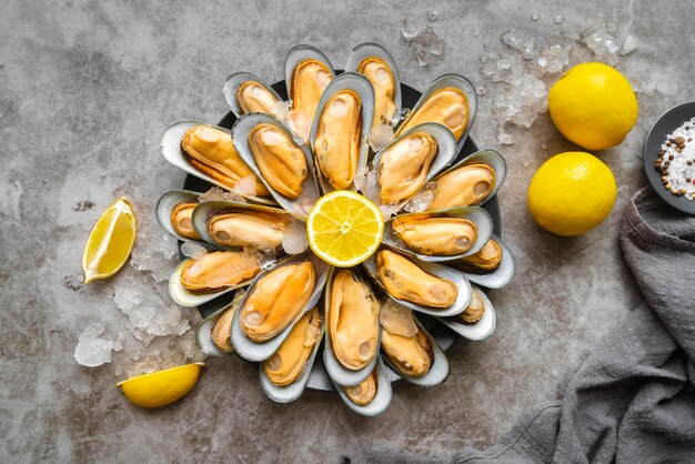 Vista dall'alto deliziosa composizione di frutti di mare