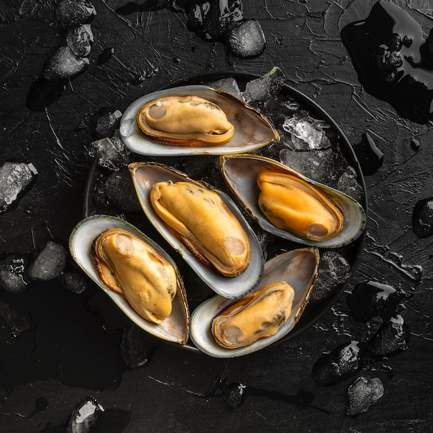 Vista dall'alto deliziosa composizione di frutti di mare