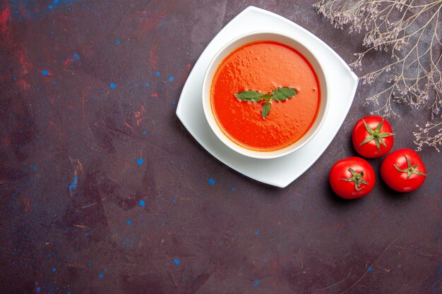 Vista dall'alto deliziosa zuppa di pomodoro piatto gustoso con una foglia all'interno del piatto sullo sfondo scuro