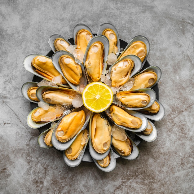 Vista dall'alto delizioso assortimento di frutti di mare