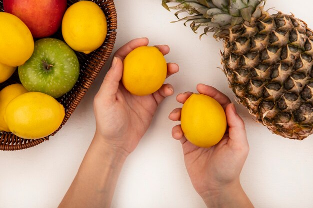 Vista dall'alto della mano femminile che tiene i limoni freschi con un secchio di mele banane e limoni con ananas isolato su un muro bianco