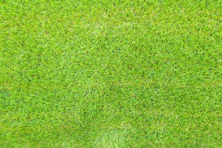 Foto gratuito vista dall&#39;alto della trama di sfondo dell&#39;erba verde.