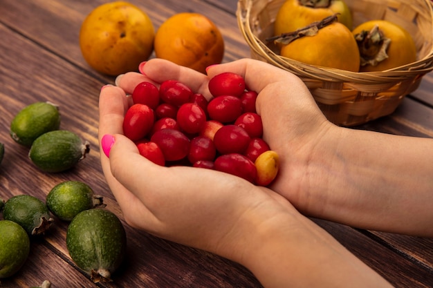 Vista dall'alto delle mani femminili che tengono ciliegie di corniola acida con cachi freschi frutti su un secchio con feijoas isolato su uno sfondo di legno