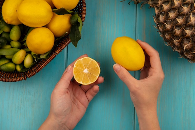 Vista dall'alto delle mani femminili che tengono i limoni freschi con frutti come kinkan e limoni su un secchio su una parete di legno blu