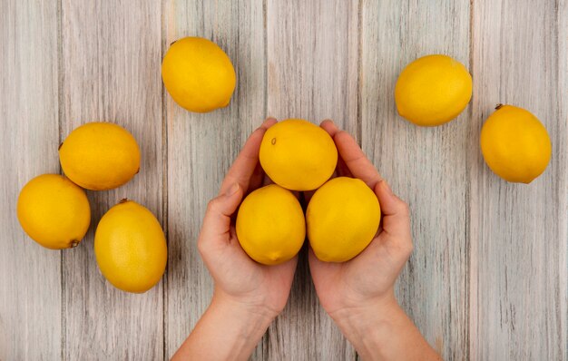 Vista dall'alto delle mani femminili che tengono i limoni freschi con i limoni isolati su una superficie di legno grigia