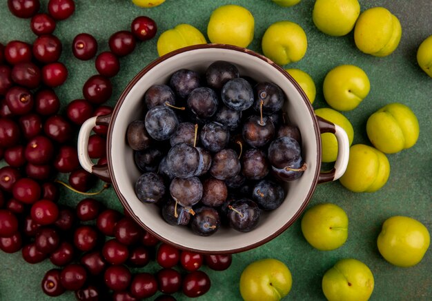 Vista dall'alto delle piccole prugnole di frutta blu-nere acide su una casseruola con ciliegie rosse e prugne ciliegia verdi isolate su uno sfondo verde