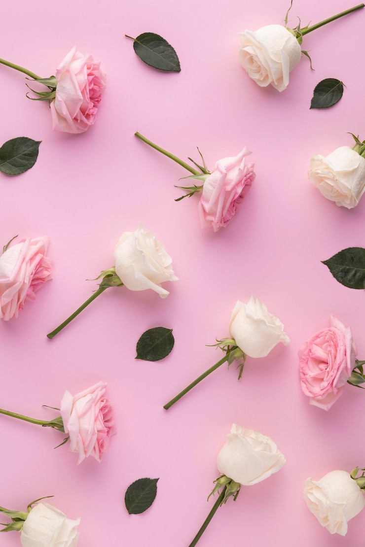 Foto gratuito vista dall'alto delle rose in fiore