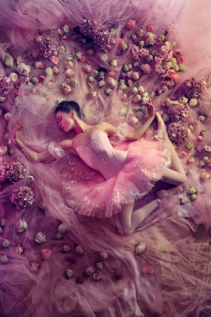 Vista dall'alto di bella giovane donna in tutu di balletto rosa circondato da fiori