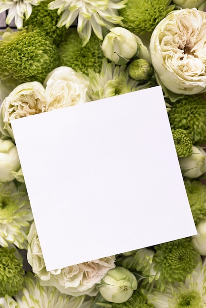 Vista dall'alto di bellissimi fiori con carta bianca