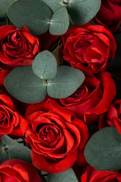 Vista dall'alto di bellissimi fiori di colore rosso