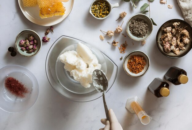 Vista dall'alto di disposizione degli ingredienti